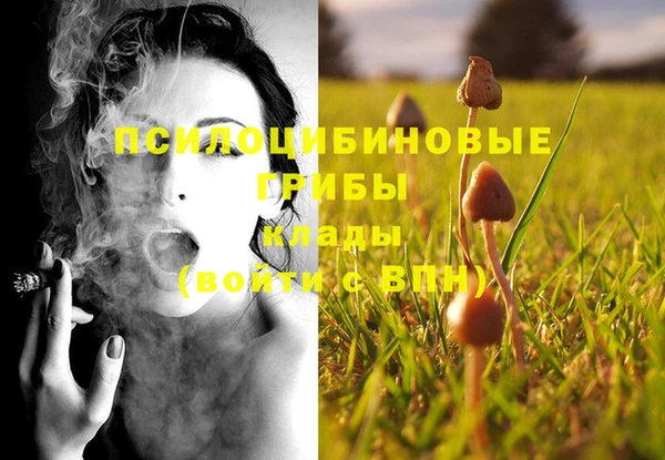 эйфоретик Нягань