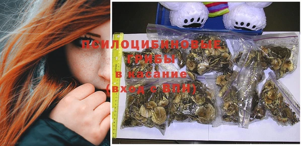 дмт Новозыбков
