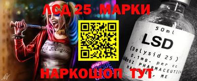 гидра Будённовск