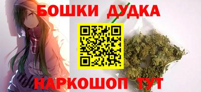 гидра Будённовск