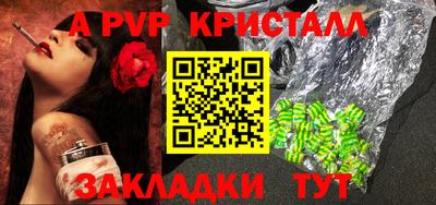 гидра Будённовск