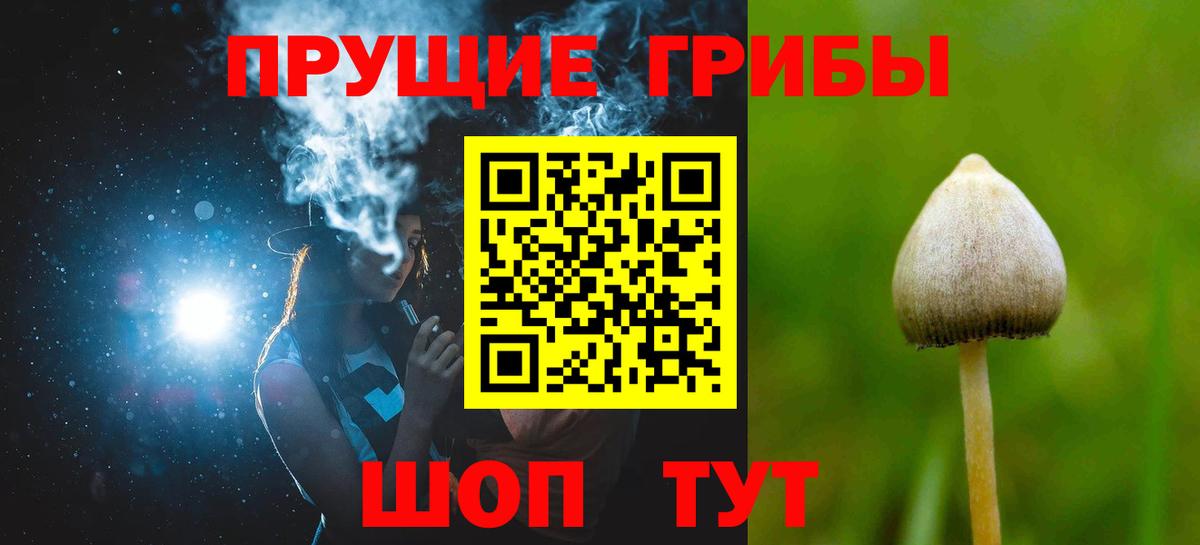 Галлюциногенные грибы Psilocybe  Вход с VPN  Псилоцибиновые грибы Magic Shrooms  Великие Луки 